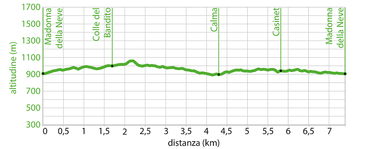 Profilo altimetrico - Itinerario wk.08