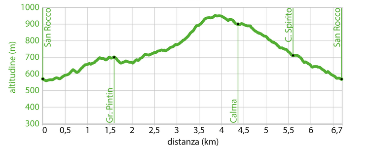 Profilo altimetrico - Itinerario wk.12