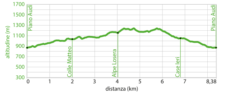 Profilo altimetrico - Itinerario wk.13