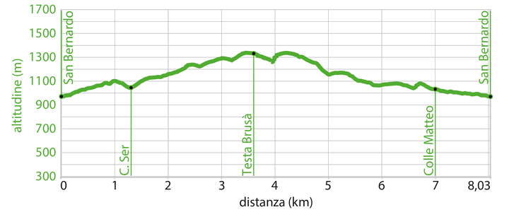 Profilo altimetrico - Itinerario wk.19